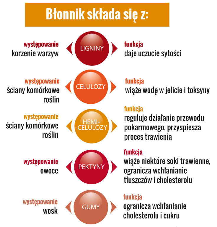 rodzaje-blonnika
